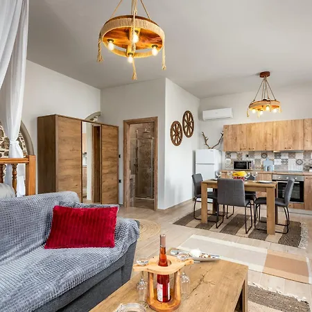 度假居 παραδοσιακό αμβωνασ *